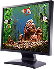 Goldfish Aquarium 2.0 - Windows Upgrade